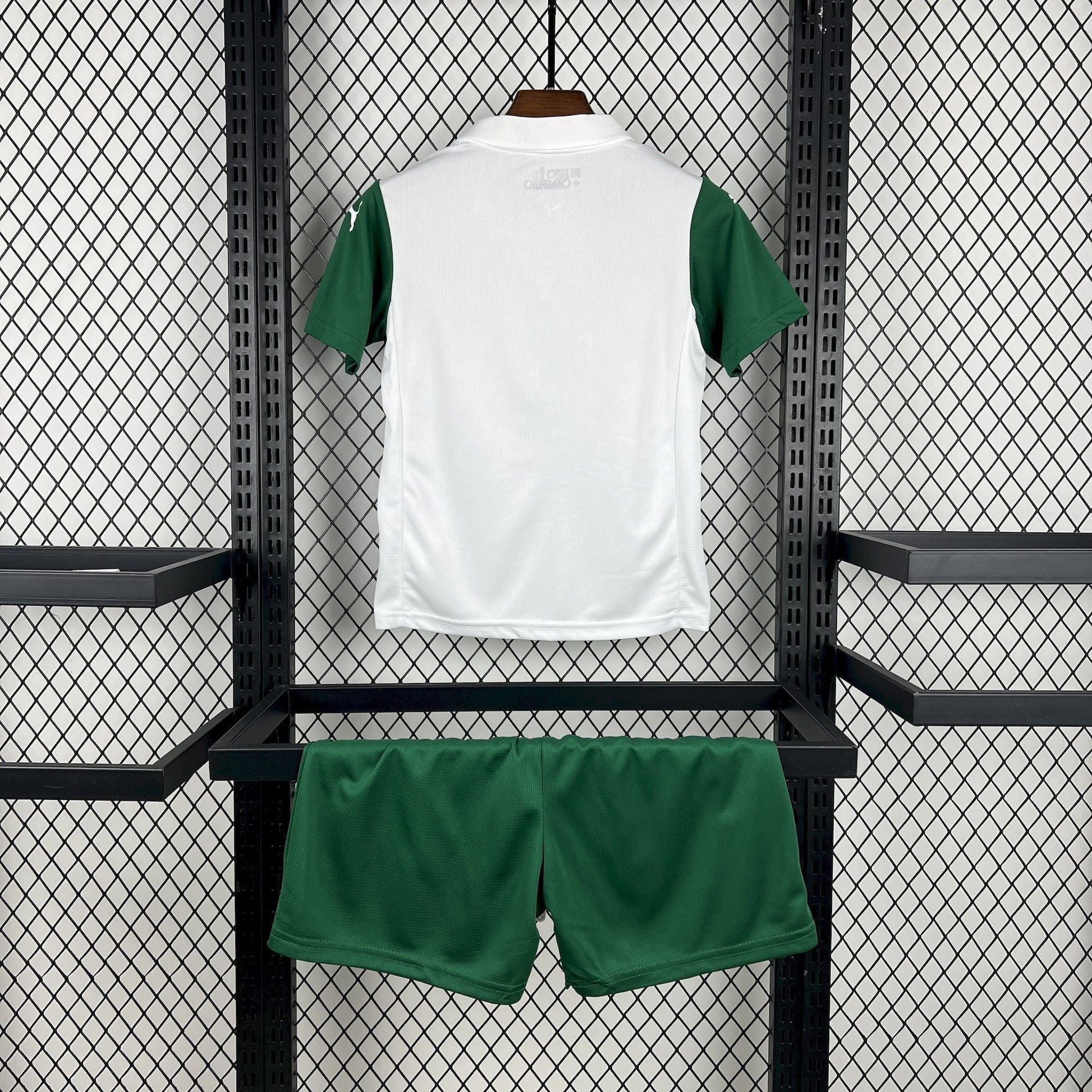 Conjunto Palmeiras 25/26 Home - Verde e branco