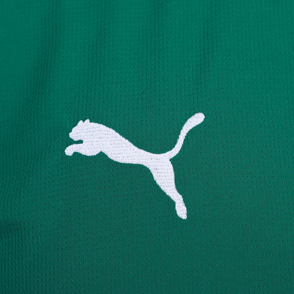 Camisa Palmeiras Home 26/27 - Versão Torcedor