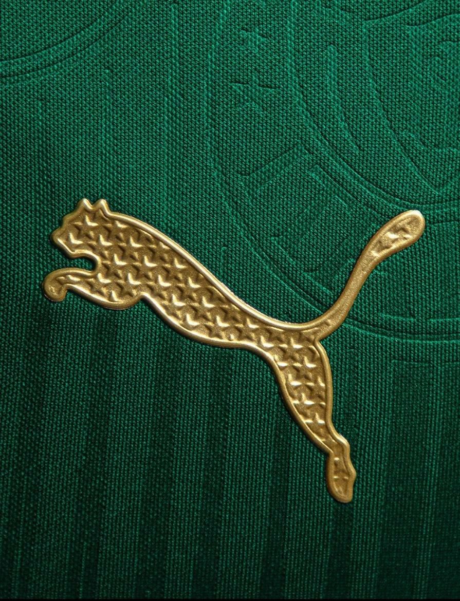 Camisa Palmeiras Titular 24/25 - Verde e Branca