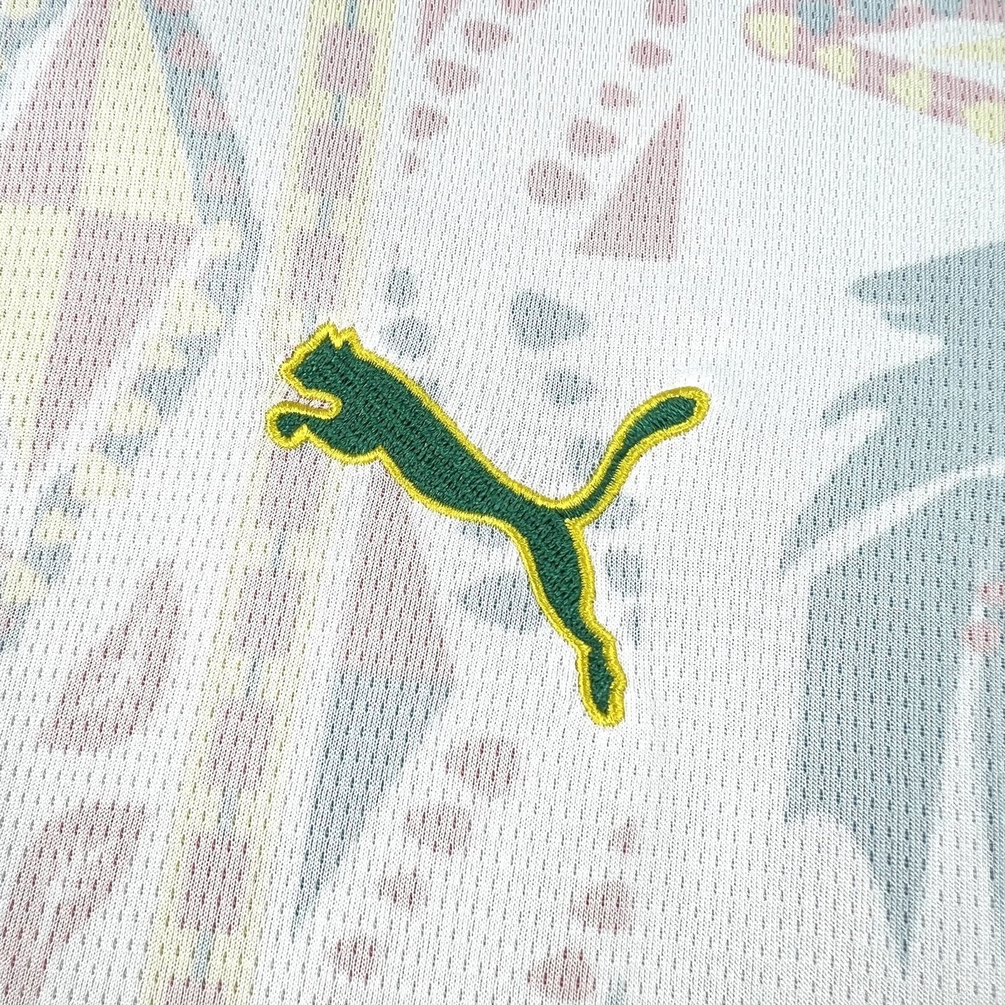 Camisa Senegal Titular 26/27 - Masculina Copa do Mundo